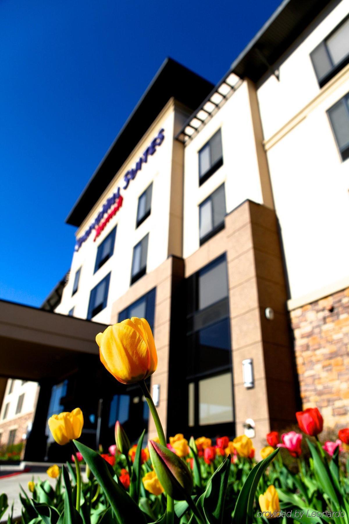 Springhill Suites By Marriott Логан Экстерьер фото